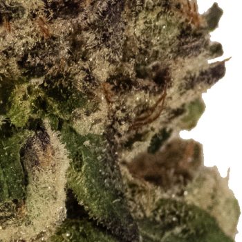 biscotti_close_up_1